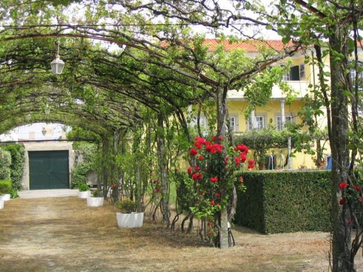 Casa/Apartamento De Hospedes فيانا دو كاستيلو المظهر الخارجي الصورة